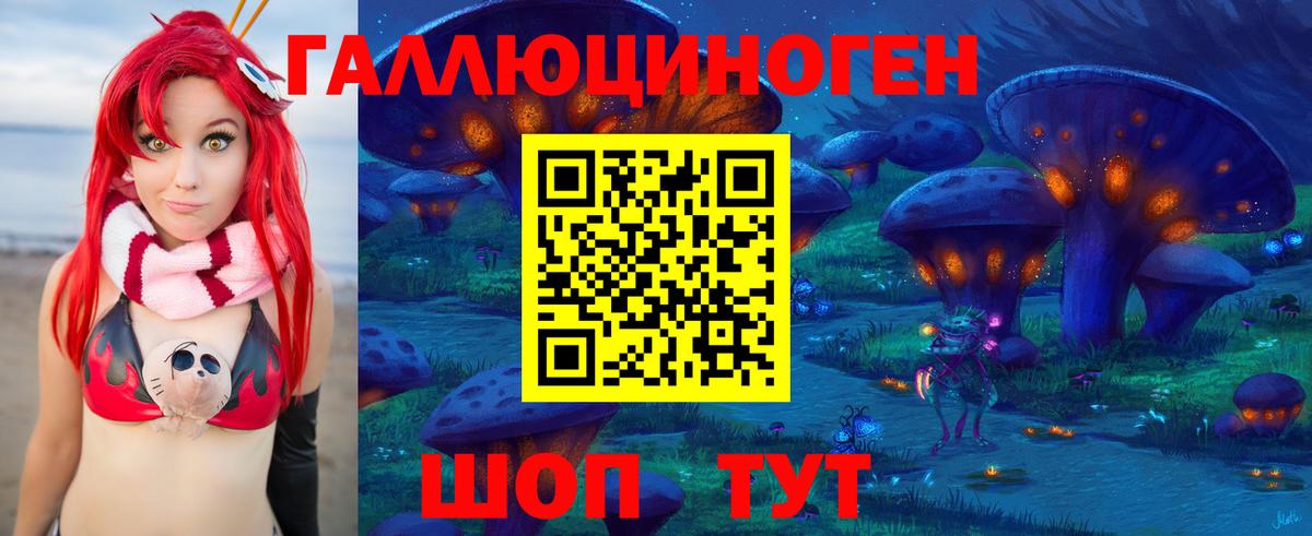 Псилоцибиновые грибы GOLDEN TEACHER  Галлюциногенные грибы GOLDEN TEACHER  Вход с VPN  как найти наркотики  Малоярославец 