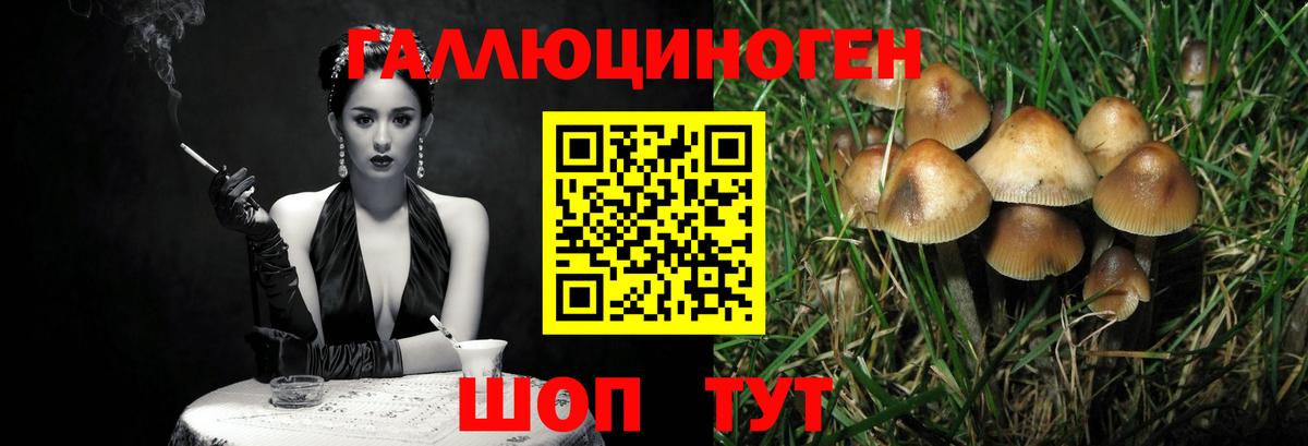 COCAIN  Вход с VPN  Малоярославец  Меф   Меф МЯУ МЯУ  Экстази  Гашиш  MDMA 